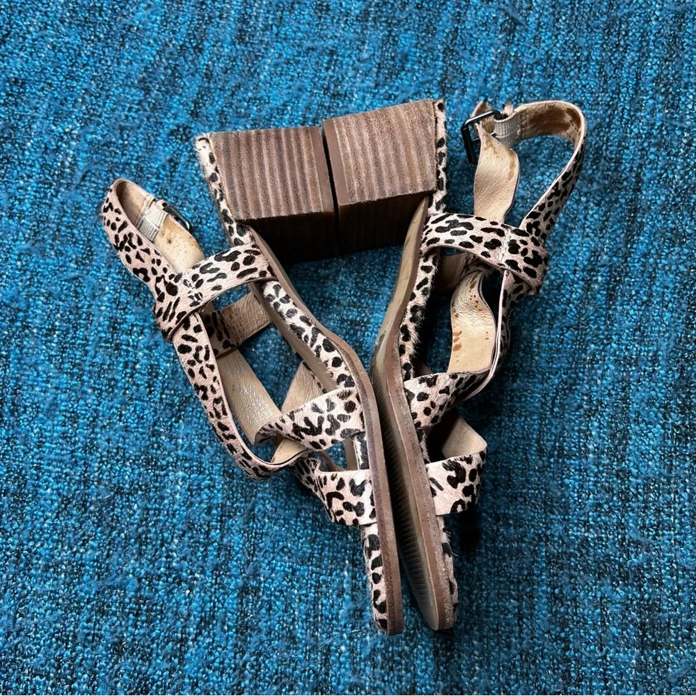 Madewell Alyssa Cheetah Print Calf Hair Sandals Tan and Black Women's Size 7.5
